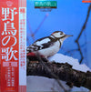 No Artist - 野鳥の歌 Vol. 1 Birds' Concert (Vinyl, LP, Mono) Very Good Plus (VG+) / Very Good Plus (VG+)