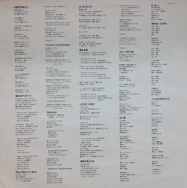 Niagara Triangle Vol.2 = ナイアガラ トライアングル Vol.2