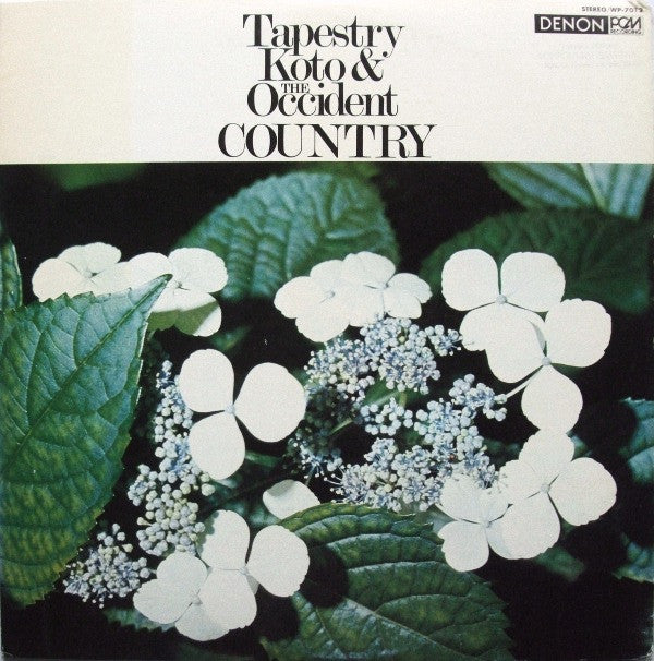 Tapestry Koto & The Occident Country = 琴 里を詩う