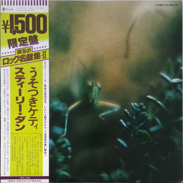 Katy Lied
