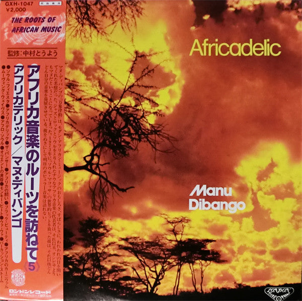 Master Release: Africadelic by Manu Dibango