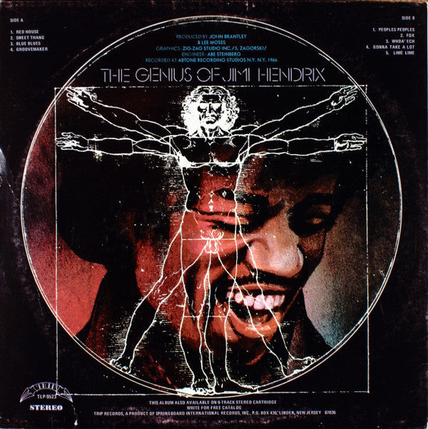 Master Release: The Genius Of Jimi Hendrix by Jimi Hendrix