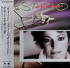 Teri DeSario - Voices In The Wind (LP, Album) - Very Good Plus (VG+) / Very Good Plus (VG+)