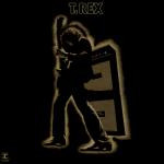 Release: Electric Warrior-Vinyl-US-1975-RS 6466-5449908
