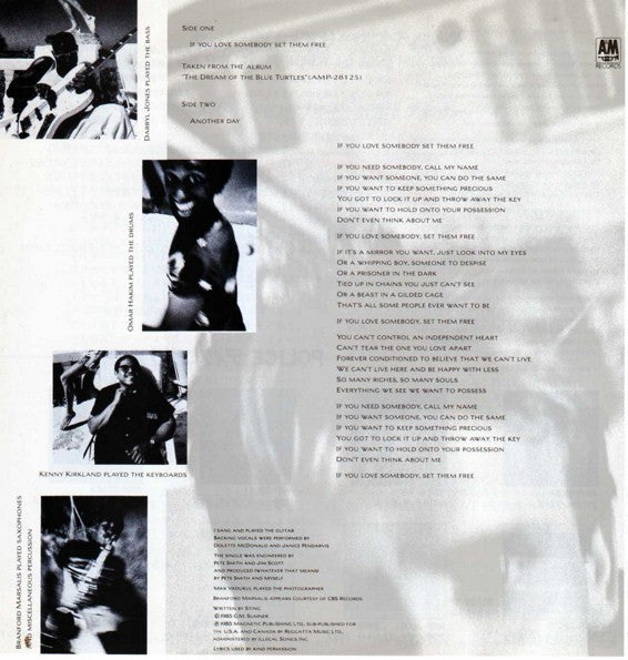 Release: If You Love Somebody Set Them Free-Vinyl-Japan-1985-AMP-220-3983875