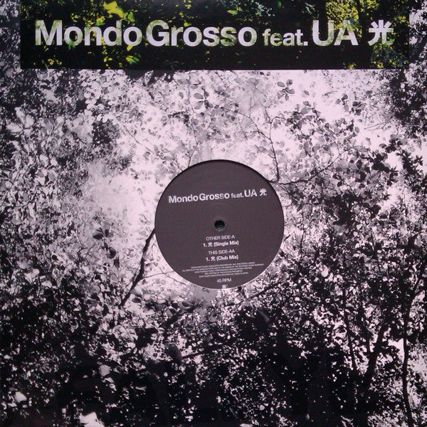 Release: 光-Vinyl-Japan-2003-AIJL 5199-7276976