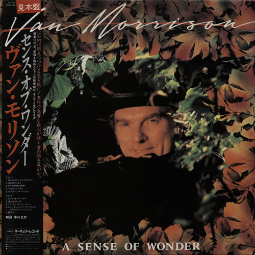 A Sense Of Wonder