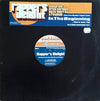 Erick Sermon - Rapper's Delight (12