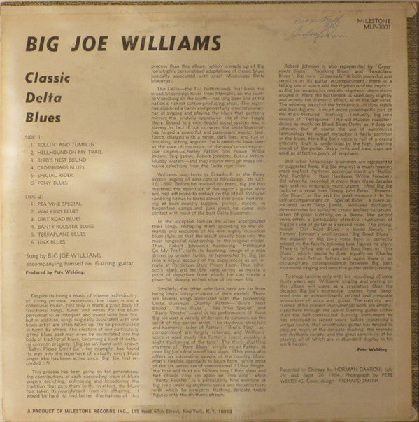 Master Release: Classic Delta Blues by Big Joe Williams