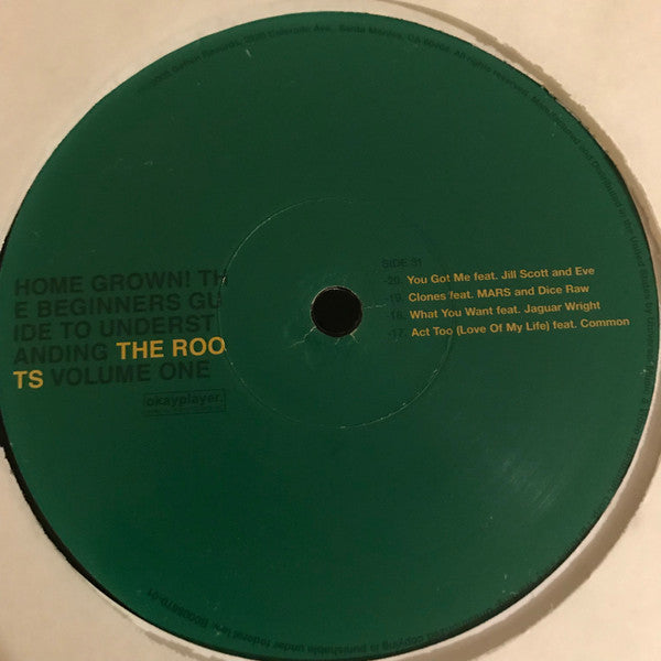 Home Grown! The Beginner's Guide To Understanding The Roots, Volume One