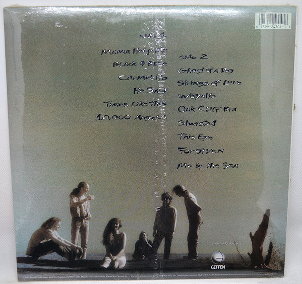 Master Release: Ghost Of A Dog by Edie Brickell & New Bohemians