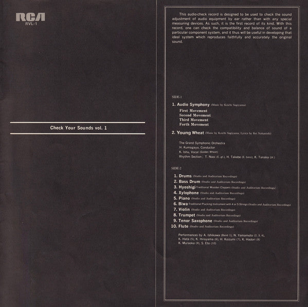 Audio Symphony (Check Up Your Sounds Vol.1) = オーテイオ交響曲