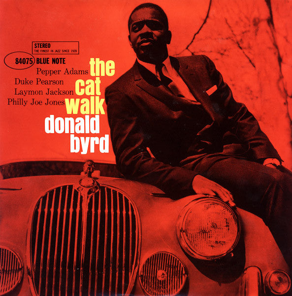 The Cat Walk