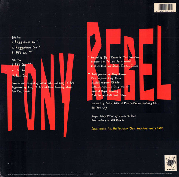 Master Release: Vibes Of The Time by Tony Rebel