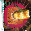 Arcadia (3) - Goodbye Is Forever (Extended Remix) (Vinyl, 12