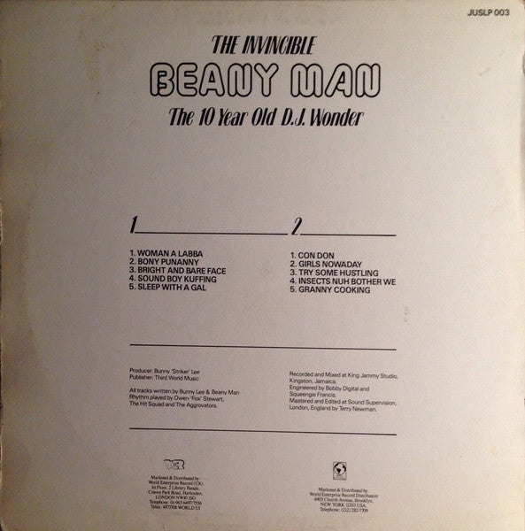 The Invincible Beany Man (The 10 Year Old D.J. Wonder)