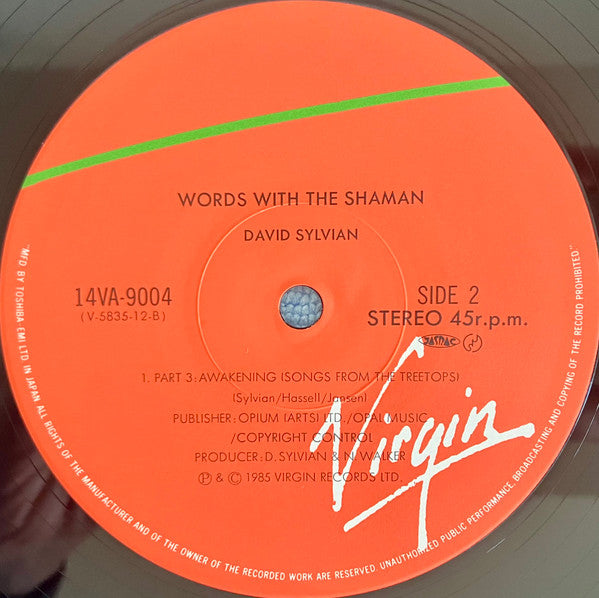 Words With The Shaman