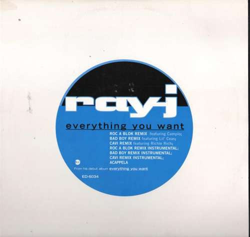 Master Release: Everything You Want by Ray J