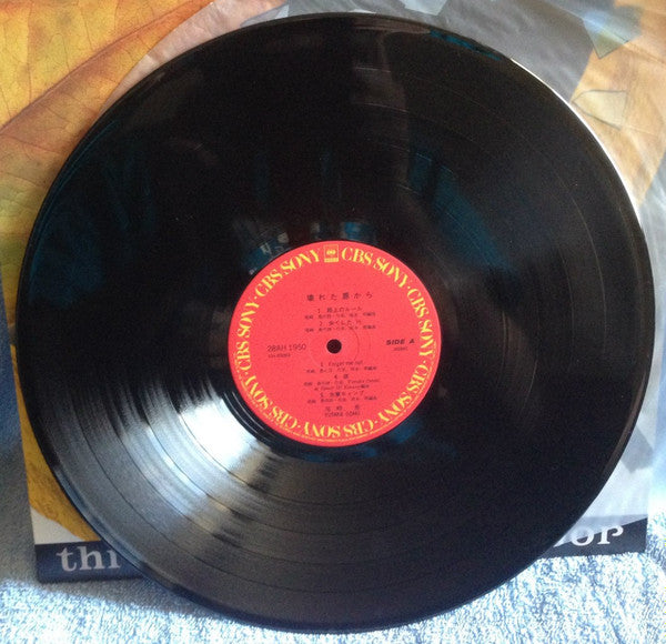 Through The Broken Door