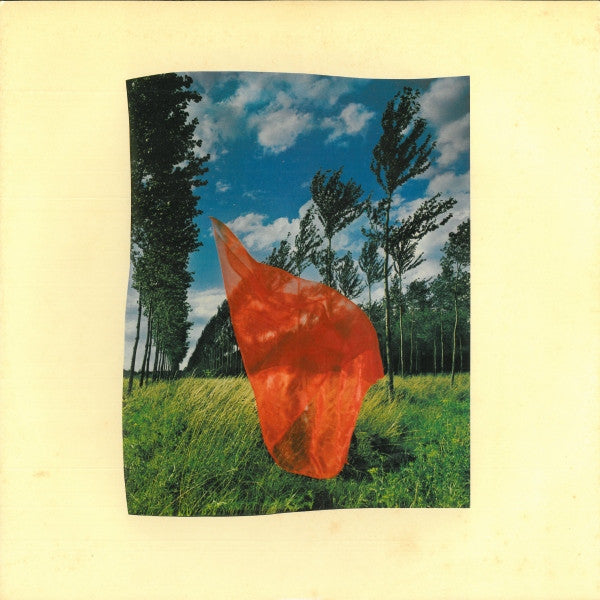 Wish You Were Here = 炎 (あなたがここにいてほしい)