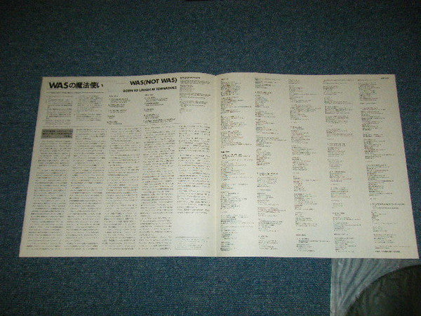 Born To Laugh At Tornadoes