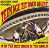 Various - Nardwuar The Human Serviette Presents: Skookum Chief Powered Teenage Zit Rock Angst (LP, Compilation) - Very Good Plus (VG+) / Very Good (VG)