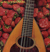 Strawbs - The Best Of Strawbs (2xVinyl, LP, Compilation) Very Good (VG) / Very Good (VG)