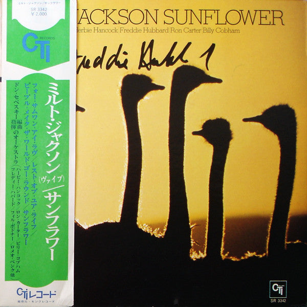 Sunflower