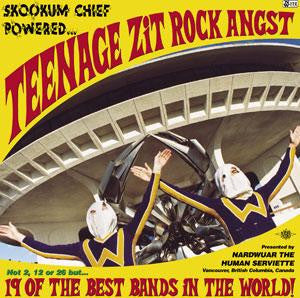 Master Release: Nardwuar The Human Serviette Presents: Skookum Chief Powered Teenage Zit Rock Angst by Various