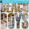 The Beach Boys - The Beach Boys = ザ・ビーチ・ボーイズ (Vinyl, LP, Album) Very Good Plus (VG+) / Very Good Plus (VG+)