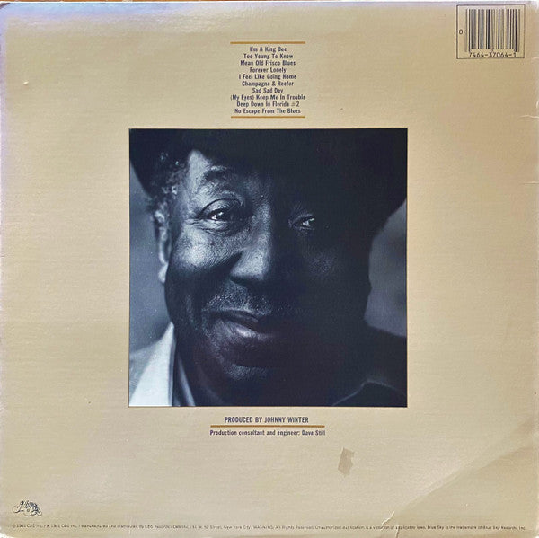 Release: King Bee-Vinyl-US-1981-JZ 37064-22765952