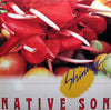 Native Son - Shining (Vinyl, LP, Album, Promo) Very Good Plus (VG+) / Very Good (VG)