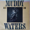 Muddy Waters - King Bee (Vinyl, LP, Album, Stereo) Very Good (VG) / Very Good (VG)
