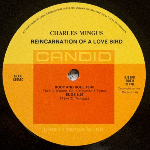 Reincarnation Of A Love Bird