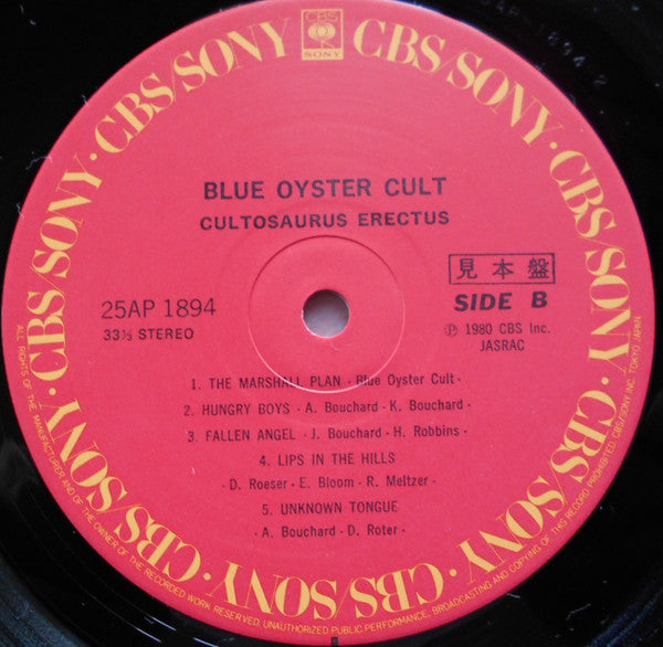 Cultösaurus Erectus