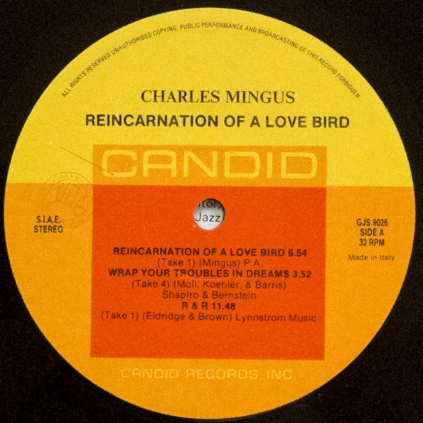Reincarnation Of A Love Bird