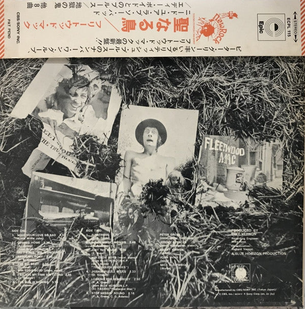 The Pious Bird Of Good Omen