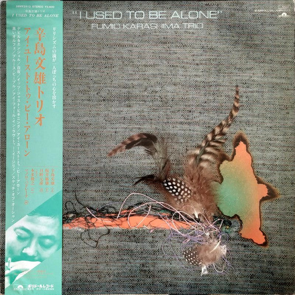I Used To Be Alone