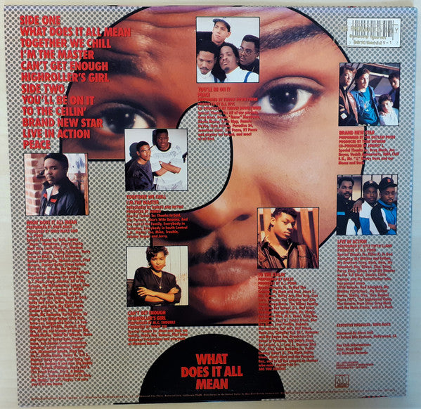 Release: What Does It All Mean-Vinyl-US-1989-MOT-6279-22392676