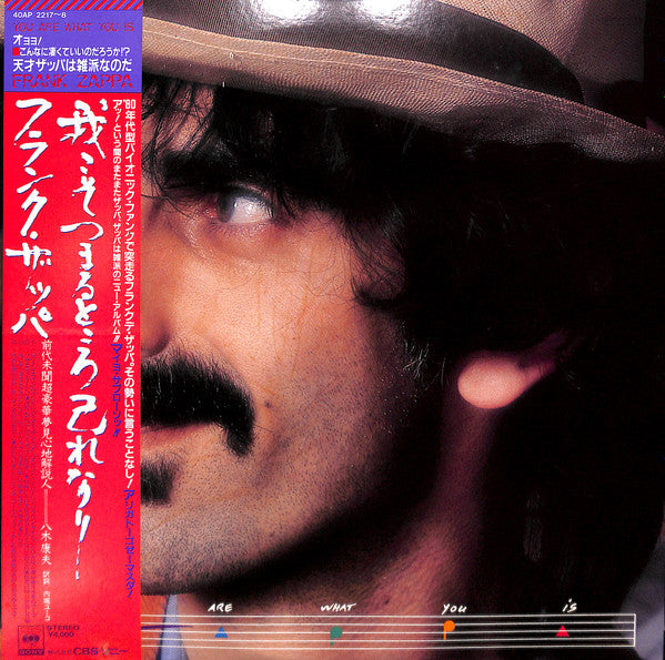 Master Release: You Are What You Is by Frank Zappa