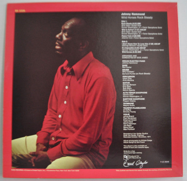 Wild Horses Rock Steady