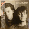 Tears For Fears - Songs From The Big Chair (Vinyl, LP, Album) Very Good (VG) / Very Good (VG)