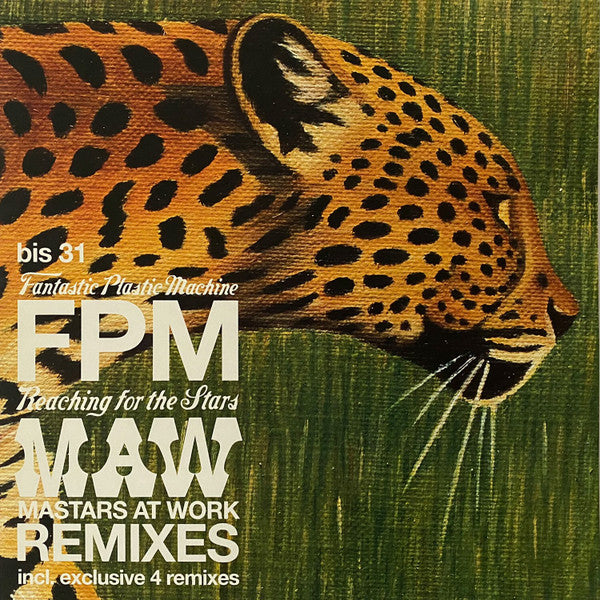 Reaching For The Stars (Masters At Work Remixes)