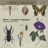Psy . S - Collection (LP, Album) - Very Good Plus (VG+) / Very Good Plus (VG+)