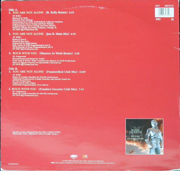 Release: You Are Not Alone-Vinyl-Europe-1995-662310 6, EPC 662310 6-1219593