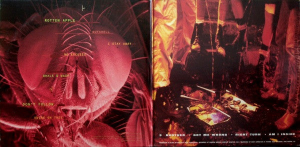 Jar Of Flies / Sap