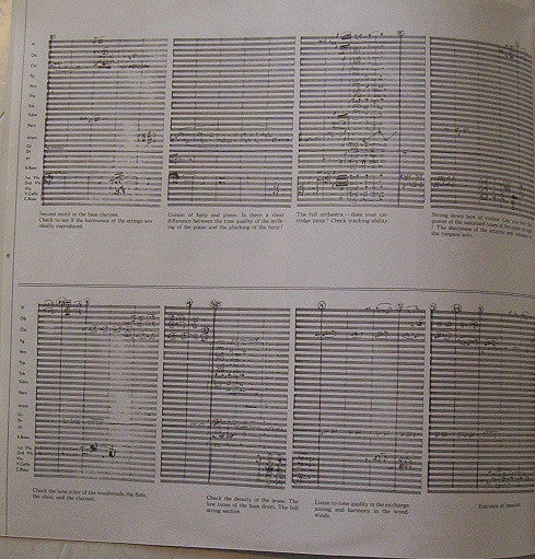 Audio Symphony No.2 (Check Up Your Sounds Vol.2) = オーテイオ交響曲・II