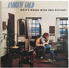 Andrew Gold - What's Wrong With This Picture? (LP, Album, Stereo) - Very Good (VG) / Very Good Plus (VG+)