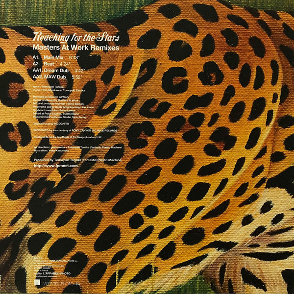 Release: Reaching For The Stars-Vinyl-Japan-2003-bis 31-7276831