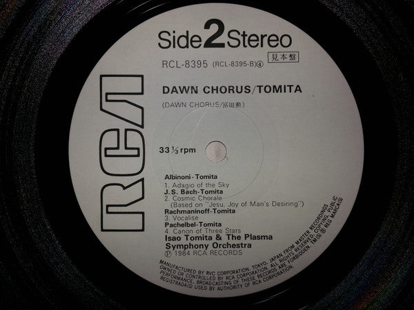 Dawn Chorus